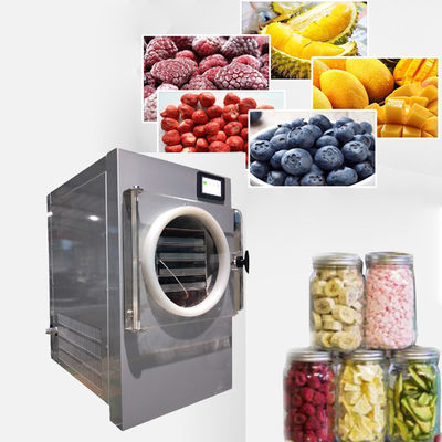Porcellana Vuoto Mini Freeze Dryer For Home fornitore