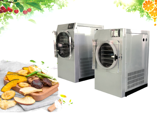 Porcellana Mini Freeze Dryer Machine For leggero ortaggi da frutto fornitore